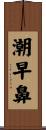潮早鼻 Scroll