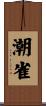 潮雀 Scroll