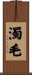濁毛 Scroll