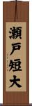 瀬戸短大 Scroll