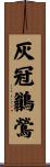 灰冠鶲鶯 Scroll