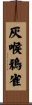灰喉鴉雀 Scroll