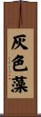 灰色藻 Scroll