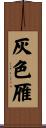 灰色雁 Scroll