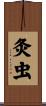 灸虫 Scroll