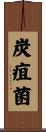 炭疽菌 Scroll