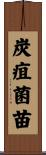 炭疽菌苗 Scroll