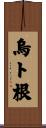 烏ト根 Scroll