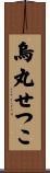 烏丸せつこ Scroll