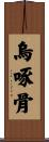 烏啄骨 Scroll
