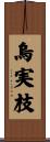 烏実枝 Scroll
