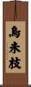 烏未枝 Scroll