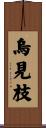 烏見枝 Scroll