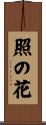 照の花 Scroll