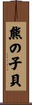 熊の子貝 Scroll