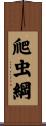 爬虫綱 Scroll