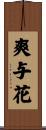 爽与花 Scroll