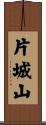 片城山 Scroll