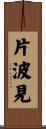 片波見 Scroll