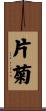 片菊 Scroll