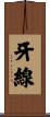 牙線 Scroll