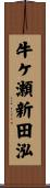 牛ケ瀬新田泓 Scroll