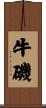牛磯 Scroll