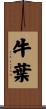 牛葉 Scroll