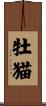 牡猫 Scroll