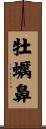 牡蠣鼻 Scroll