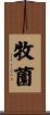 牧薗 Scroll