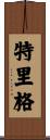 Trigg Scroll