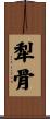 犁骨 Scroll