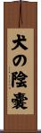 犬の陰嚢 Scroll