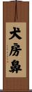 犬房鼻 Scroll