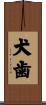 犬歯 Scroll