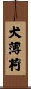 犬薄荷 Scroll