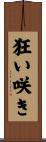 狂い咲き Scroll