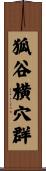 狐谷横穴群 Scroll