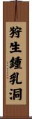 狩生鍾乳洞 Scroll