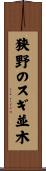 狭野のスギ並木 Scroll
