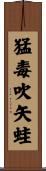 猛毒吹矢蛙 Scroll