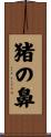 猪の鼻 Scroll