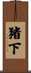 猪下 Scroll