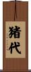猪代 Scroll