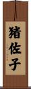 猪佐子 Scroll