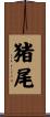 猪尾 Scroll