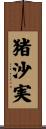 猪沙実 Scroll