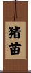 猪苗 Scroll