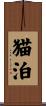 猫泊 Scroll